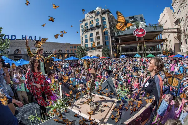 Butterfly festival
